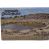 Magnet – Image 3