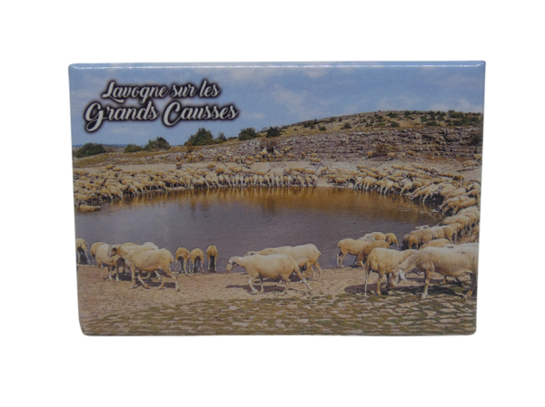 Magnet – Image 3