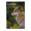 Magnet – Image 7