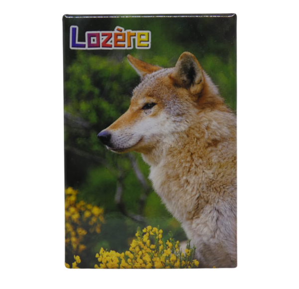 Magnet – Image 7
