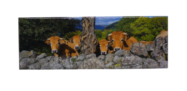 Magnet Panoramique – Image 6