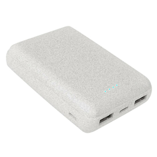 Batterie de Secours 10 000 mAh