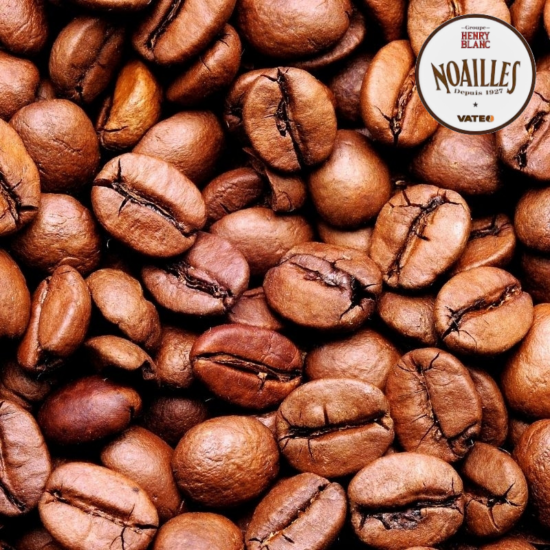 Noailles - Guatemala Platanillo Torréfié Rainforest