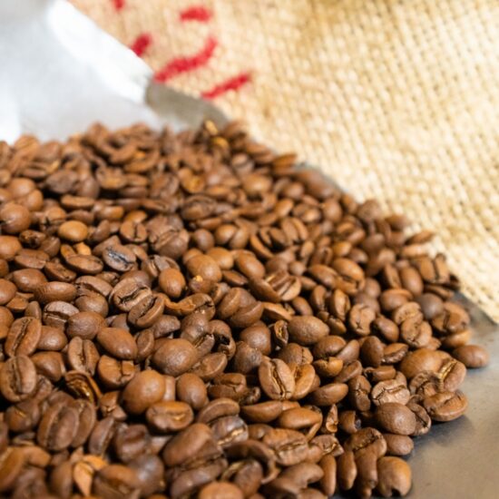 Brésil Santos Orione Café Torréfié