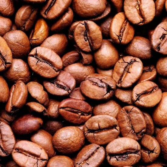 Guatemala Platanillo Torréfié Rainforest